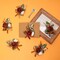 6 PCS Burnt Orange Boutonniere Set for Men – Terracotta Artificial Groomsmen Wedding Flowers with Pins for Groom, Best Man, Fall Rustic Weddings, Prom, Ceremony & Formal Events